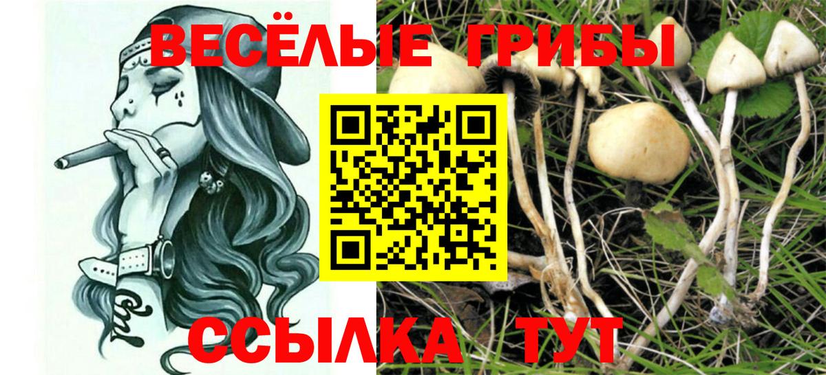 Псилоцибиновые грибы прущие грибы  Галлюциногенные грибы MAGIC MUSHROOMS  Вход с VPN  Раменское 